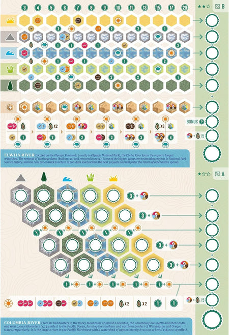 Cascadia Rolling Rivers - WiredVillage Games - Alderac Entertainment Group (AEG)