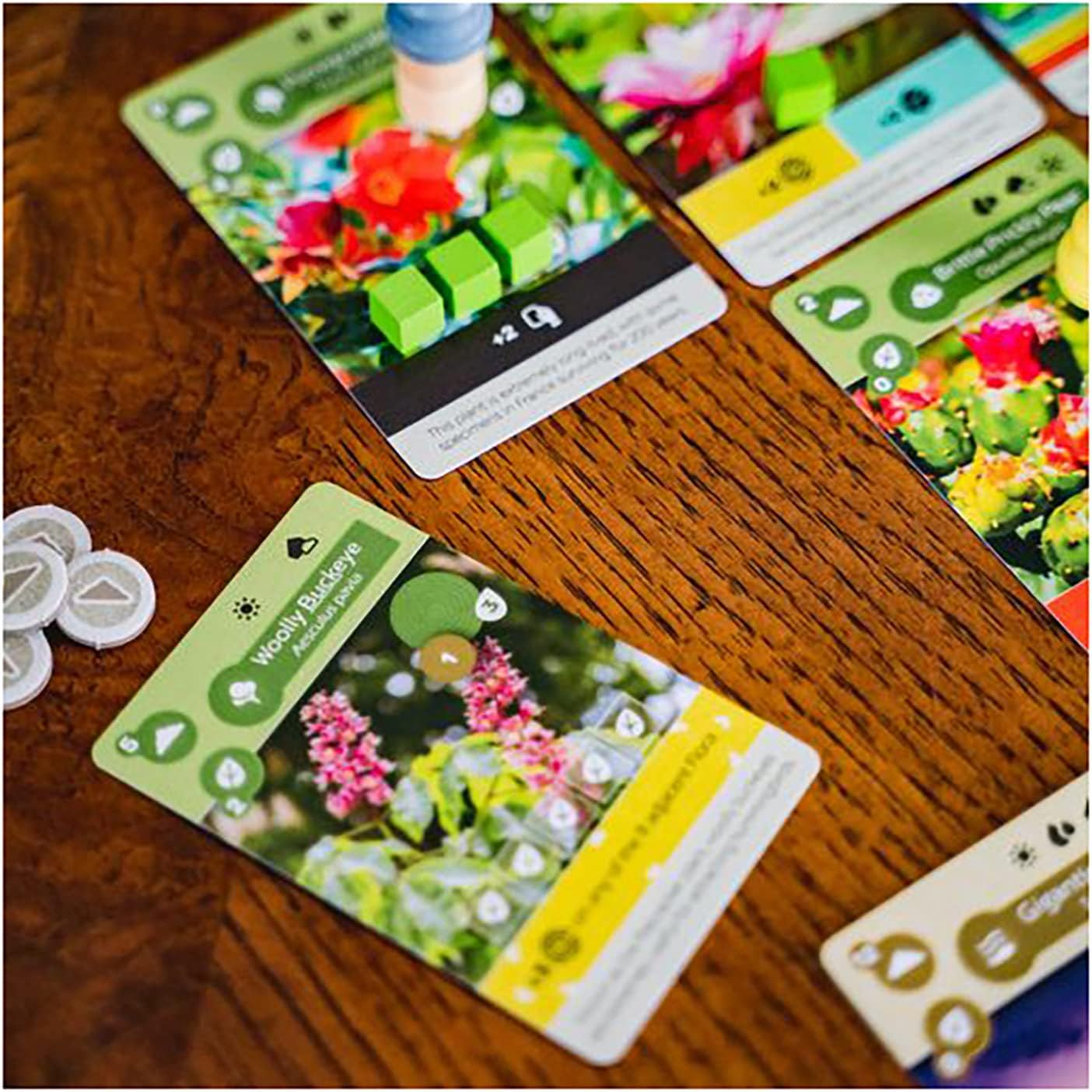 Earth - WiredVillage Games - InsideUp