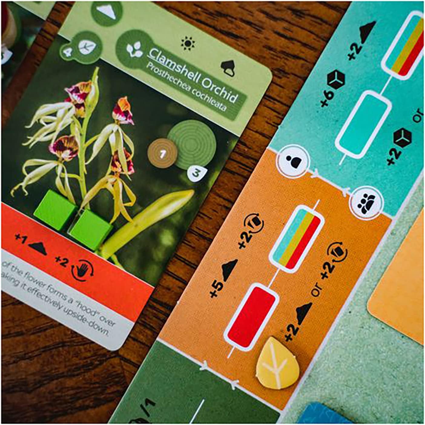 Earth - WiredVillage Games - InsideUp