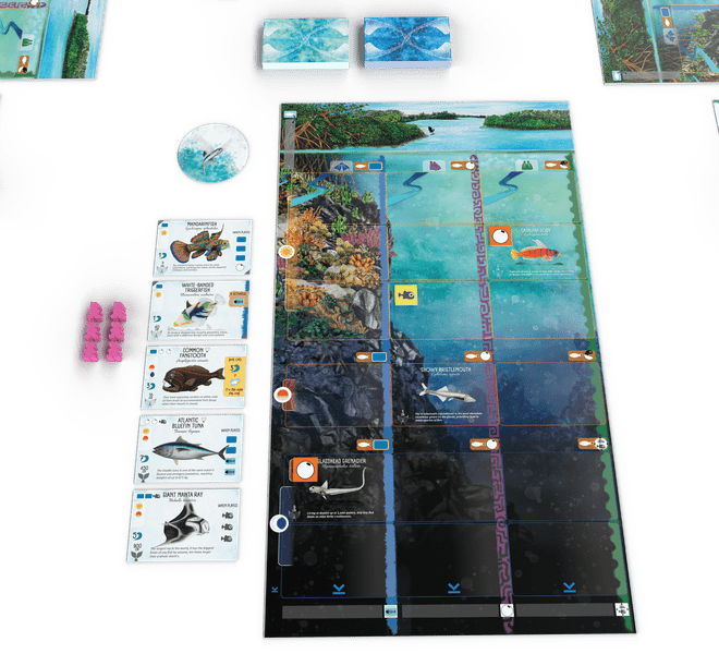 Finspan Board game - WiredVillage Games - Stonemaier Games