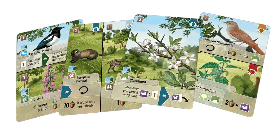 Forest Shuffle: Woodland Edge - WiredVillage Games - Lookout Games