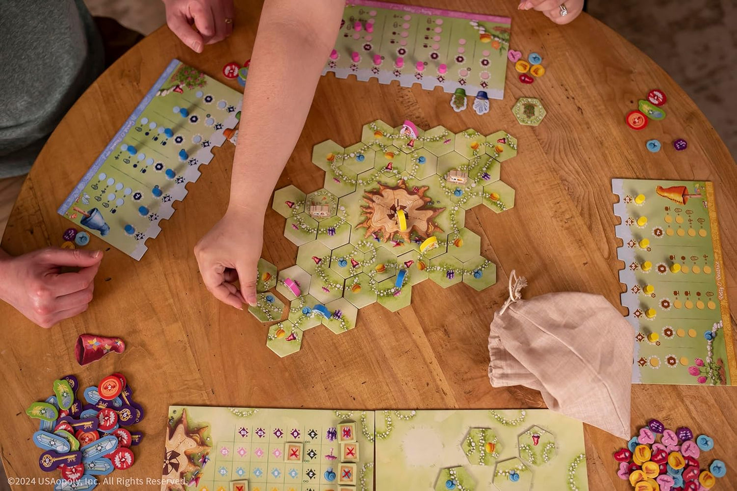 Gnome Hollow - WiredVillage Games - The Op