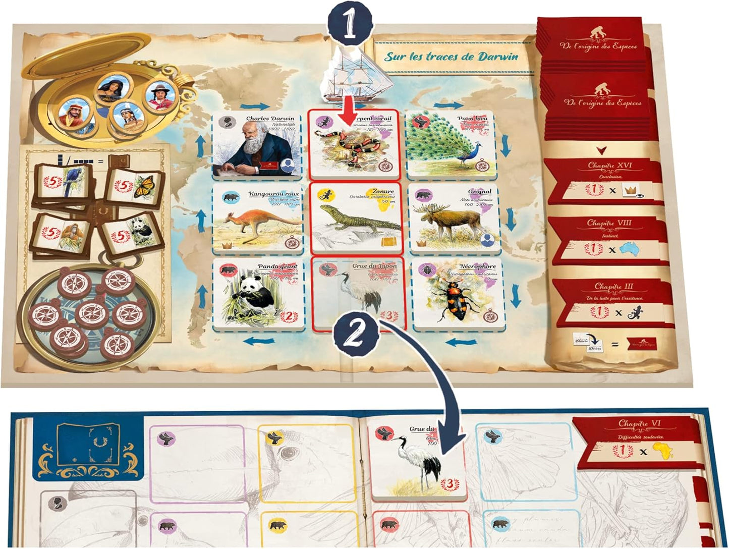 In the Footsteps of Darwin - WiredVillage GamesSorry we are French