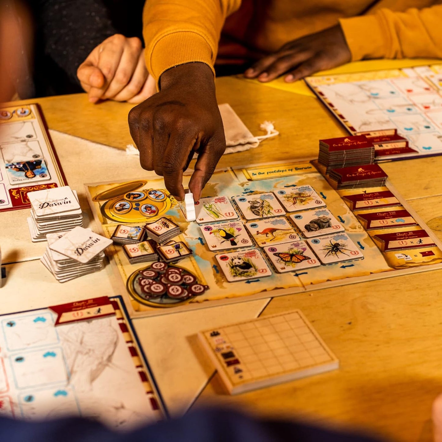 In the Footsteps of Darwin - WiredVillage GamesSorry we are French