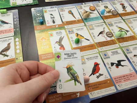 Wingspan Americas expansion - WiredVillage Games - Stonemaier Games WiredVillage Games