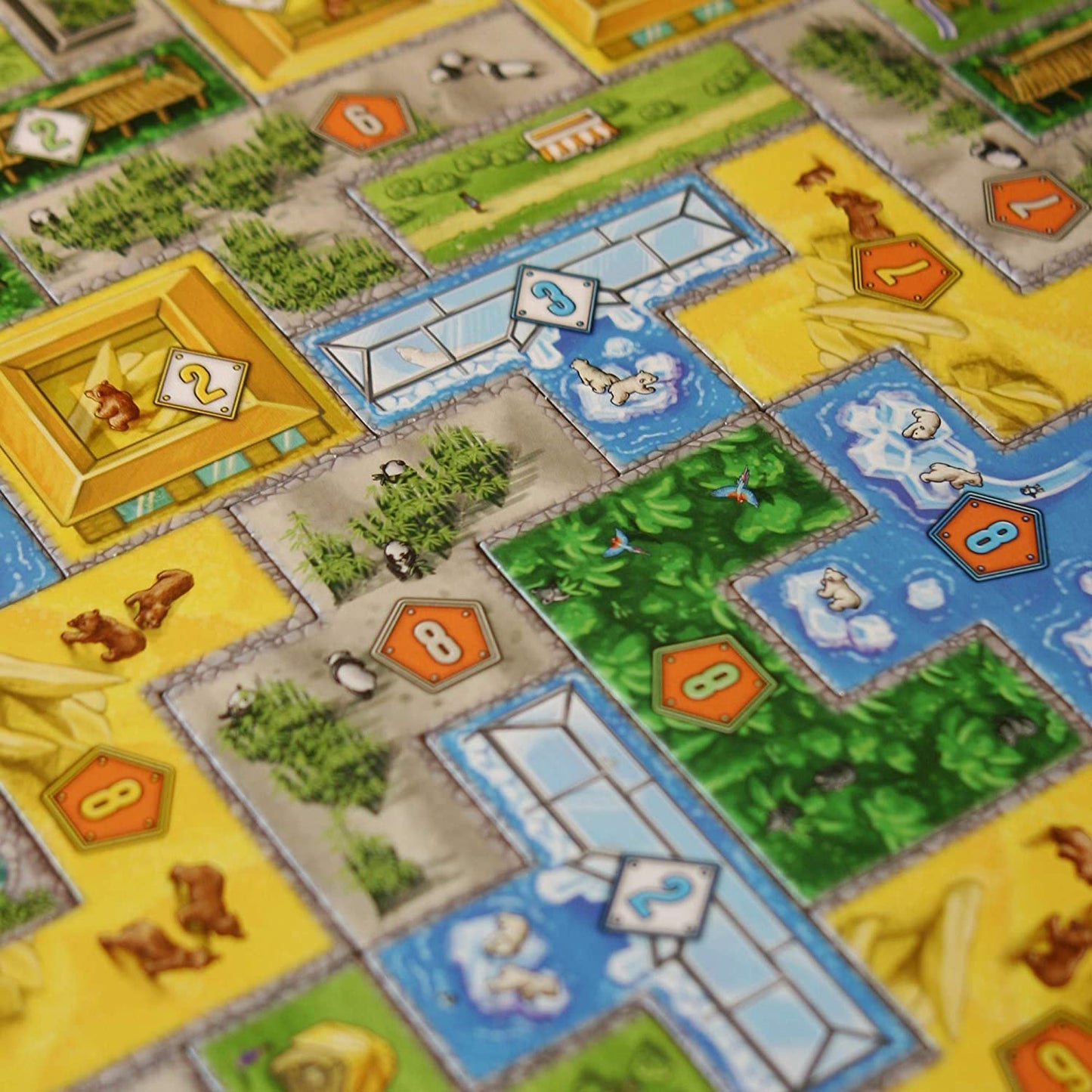 Barenpark Board Game - WiredVillage GamesLookout Games