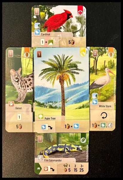 Forest Shuffle - expansion - Exploration - WiredVillage Games - WiredVillage Games