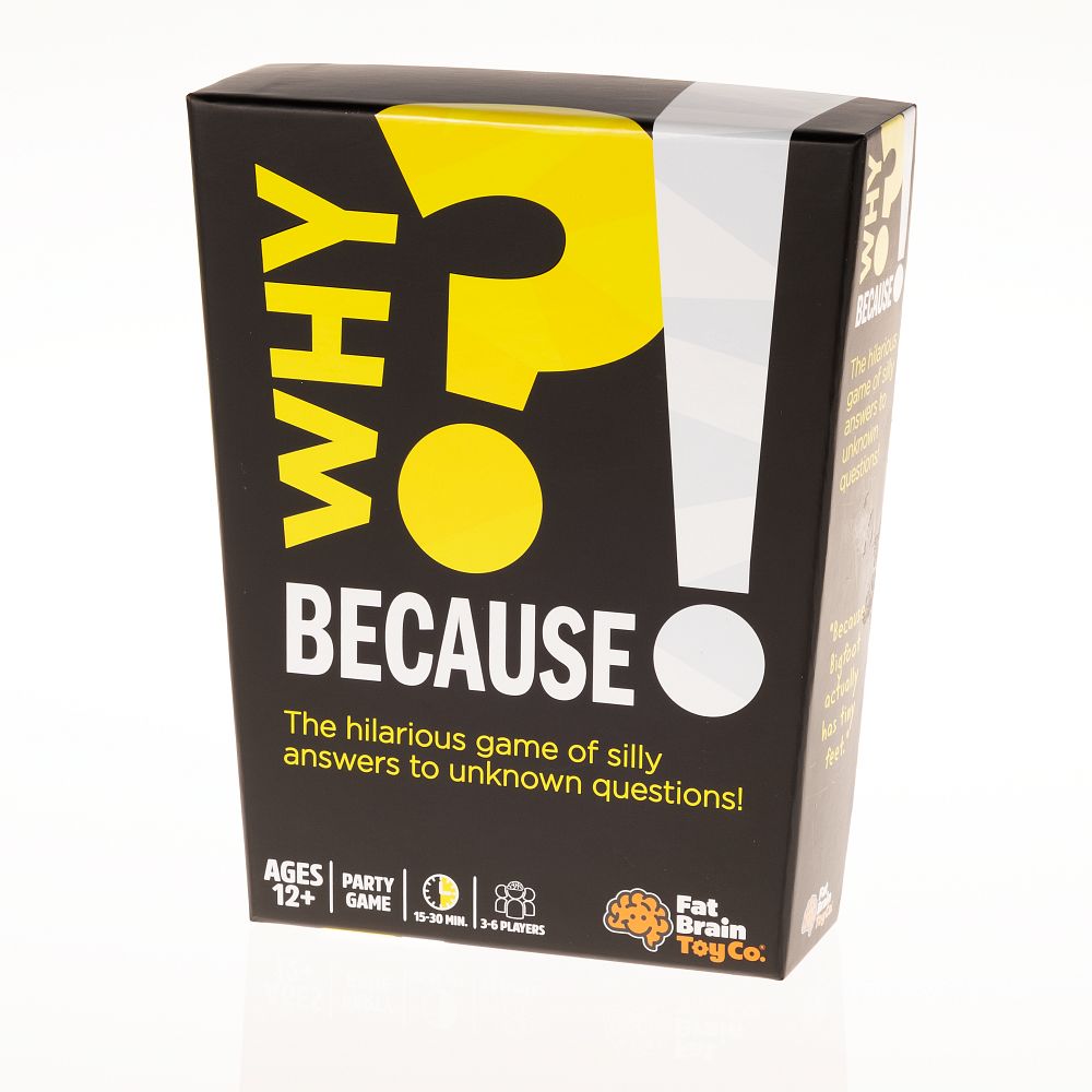 Why? Because! - WiredVillage Games - Fat Brain Toys
