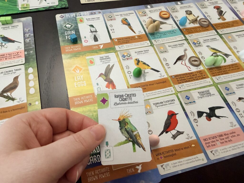 Wingspan Americas expansion - WiredVillage Games - Stonemaier Games