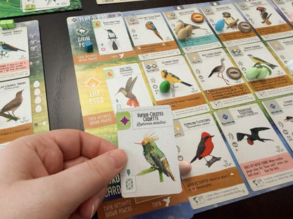 Wingspan Americas expansion - WiredVillage Games - Stonemaier Games