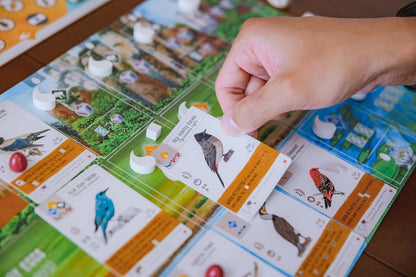 WINGSPAN ASIA EXPANSION - WiredVillage Games - Wiredvillage Games