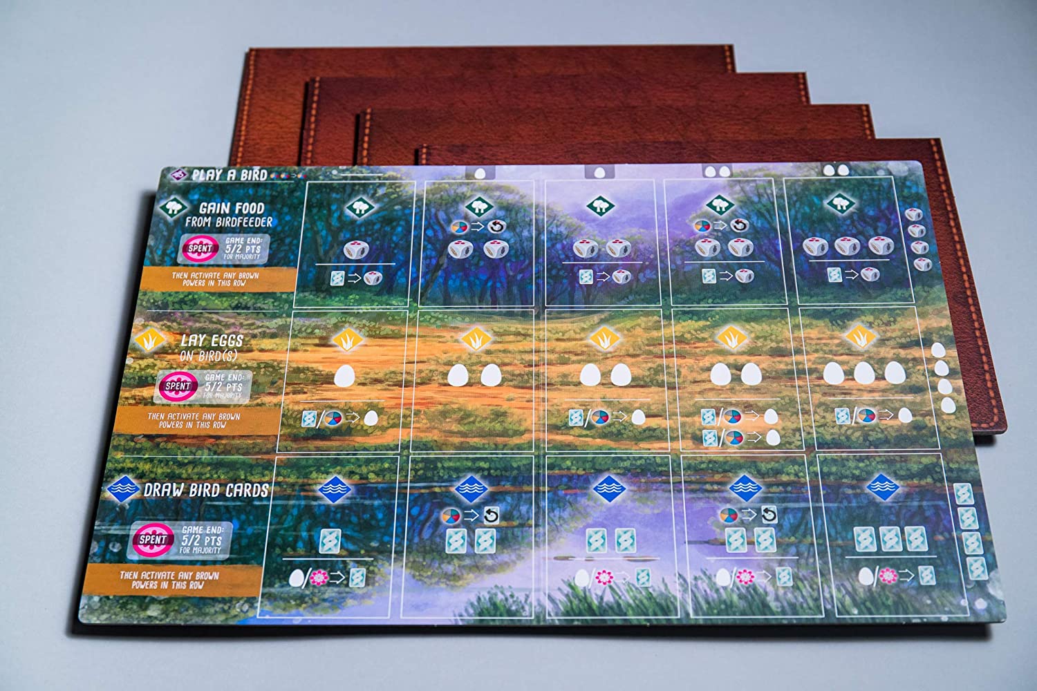 Wingspan Oceania Expansion Board Game - WiredVillage GamesStonemaier Games